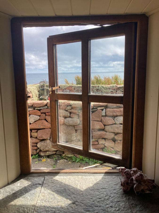 The Ruah - Clifftop Retreat Whitehall 외부 사진